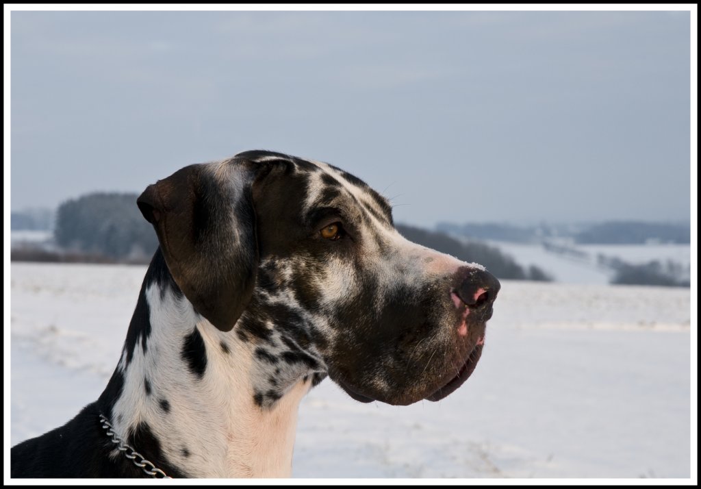 _d325166hermine.jpg