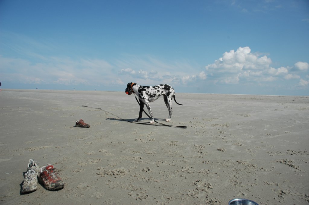 photo2.jpg